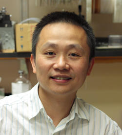 Haining Zhong